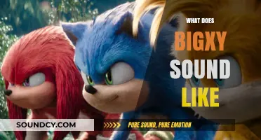 Exploring the Unique Sonic Identity: What Does BigXY Sound Like?