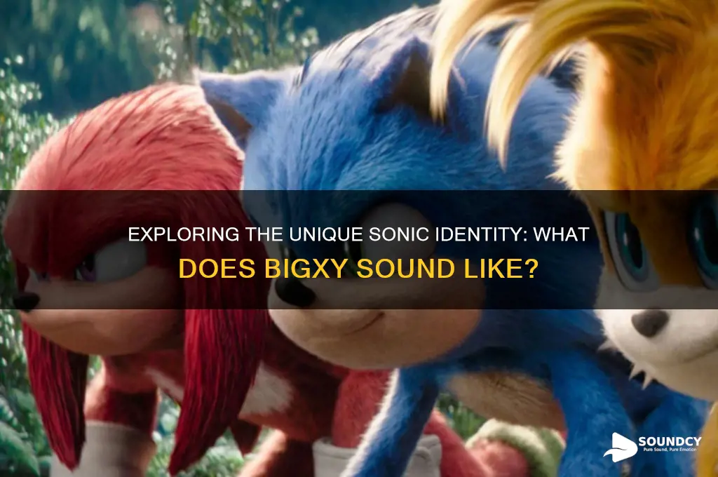 what does bigxy sound like