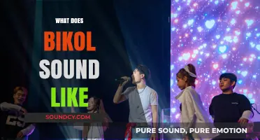 Exploring the Unique Melody and Rhythm of the Bikol Language