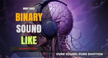 Decoding Binary: Exploring the Audible Sounds of 0s and 1s