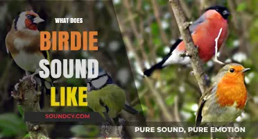 What Does a Birdie Sound Like? Exploring the Sweet Chirps of Birds