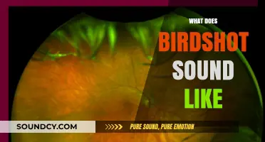 Unveiling the Unique Acoustic Signature of Birdshot in Action