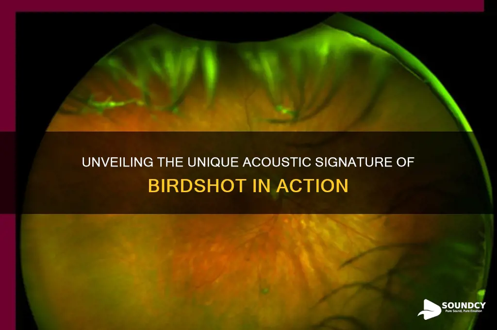 what does birdshot sound like