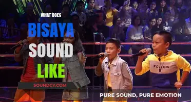 Exploring the Unique Melody and Rhythm of the Bisaya Language