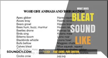 Understanding the Bleat: What Does This Unique Sound Really Sound Like?