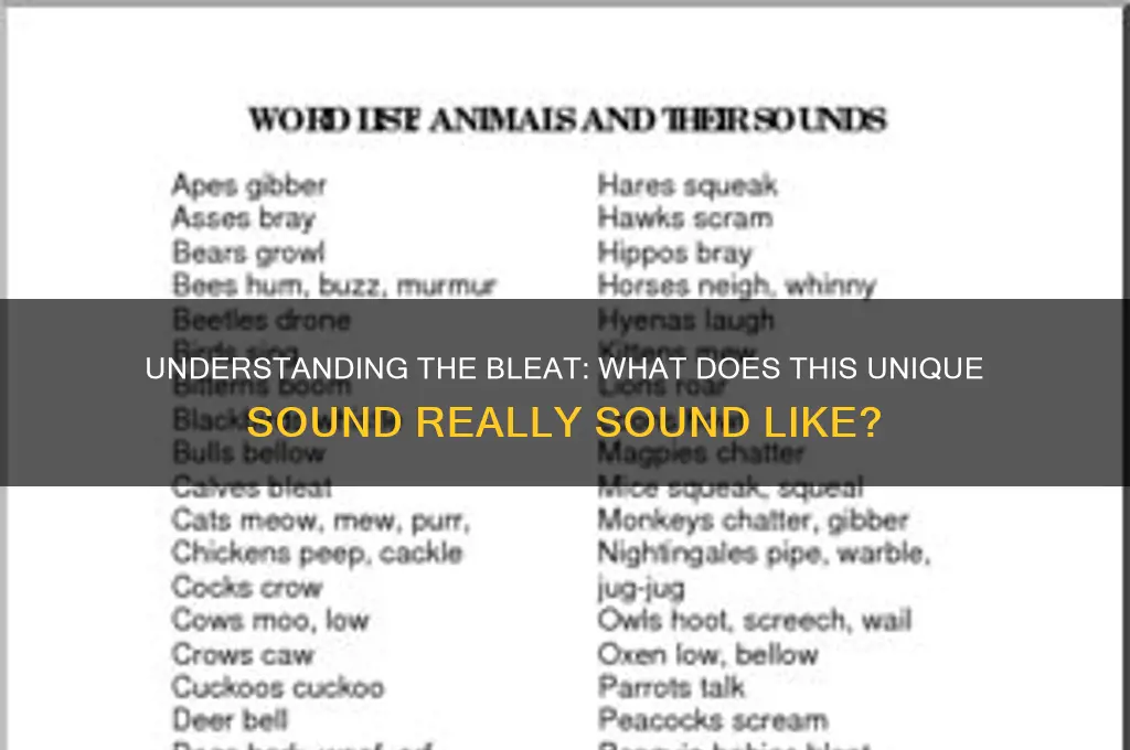 what does bleat sound like