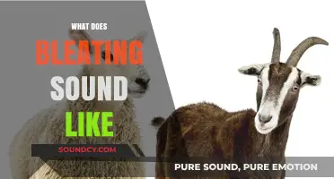 Understanding the Unique Bleating Sounds of Sheep and Goats