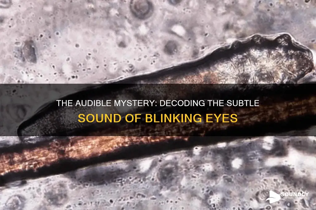 what does blinking sound like