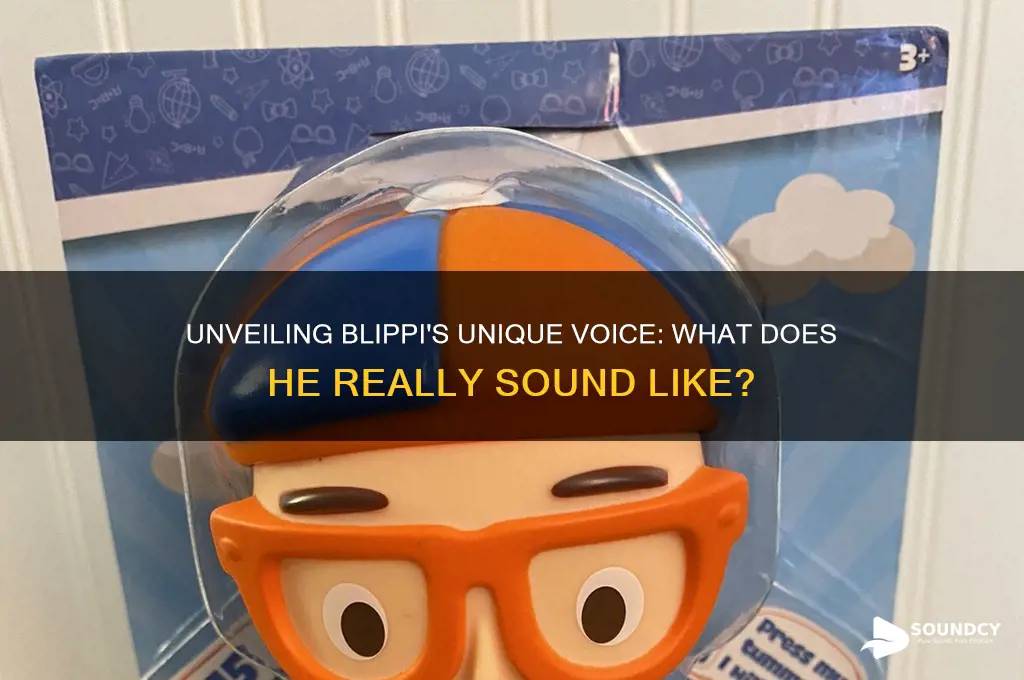 what does blippi sound like