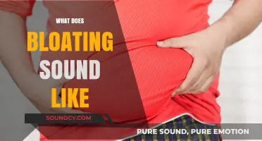 Unraveling the Audible Signs of Bloating: What Does It Sound Like?