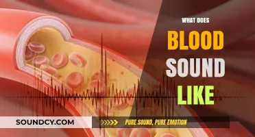 Unveiling the Mysterious Acoustic World: What Does Blood Sound Like?