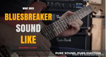 Unveiling the Iconic Bluesbreaker Tone: A Sonic Journey Through Guitar History