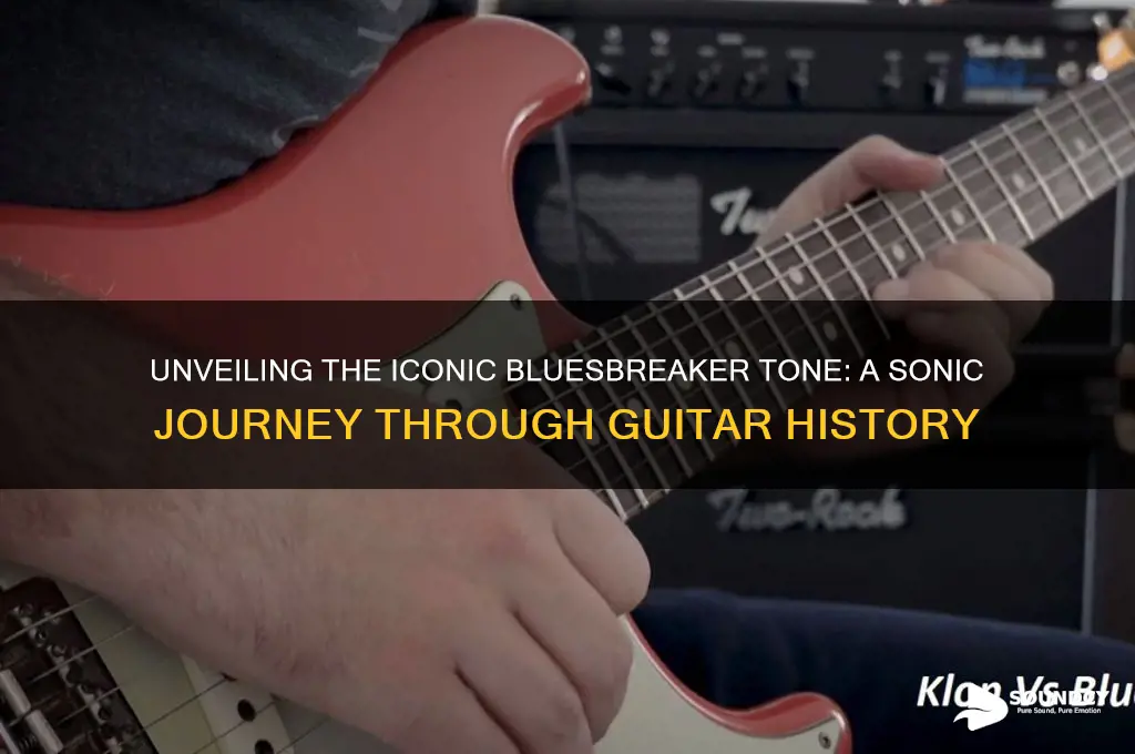 what does bluesbreaker sound like