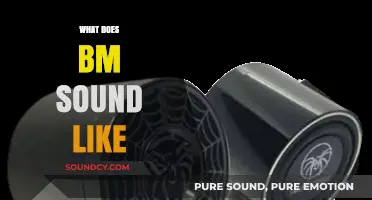 Exploring the Unique Sonic Signature of BM: What Does It Sound Like?