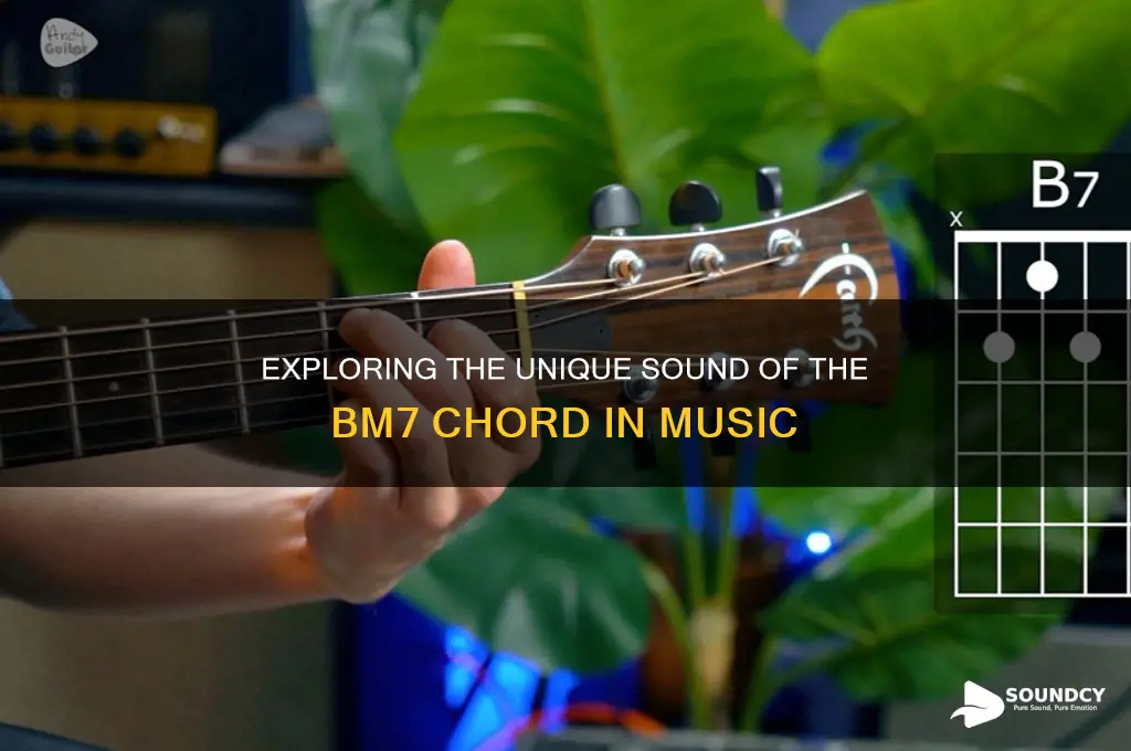 what does bm7 sound like