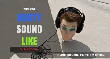 Exploring the Unique Sounds of Booty: A Musical and Cultural Journey