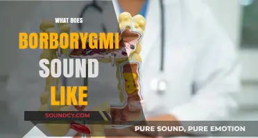 Unraveling the Mysterious Sounds of Borborygmi: What Do They Really Sound Like?