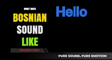 Exploring the Unique Sounds and Rhythms of Bosnian Language and Speech