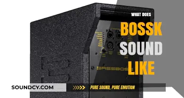 Unveiling Bossk's Unique Voice: A Deep Dive into His Iconic Sound