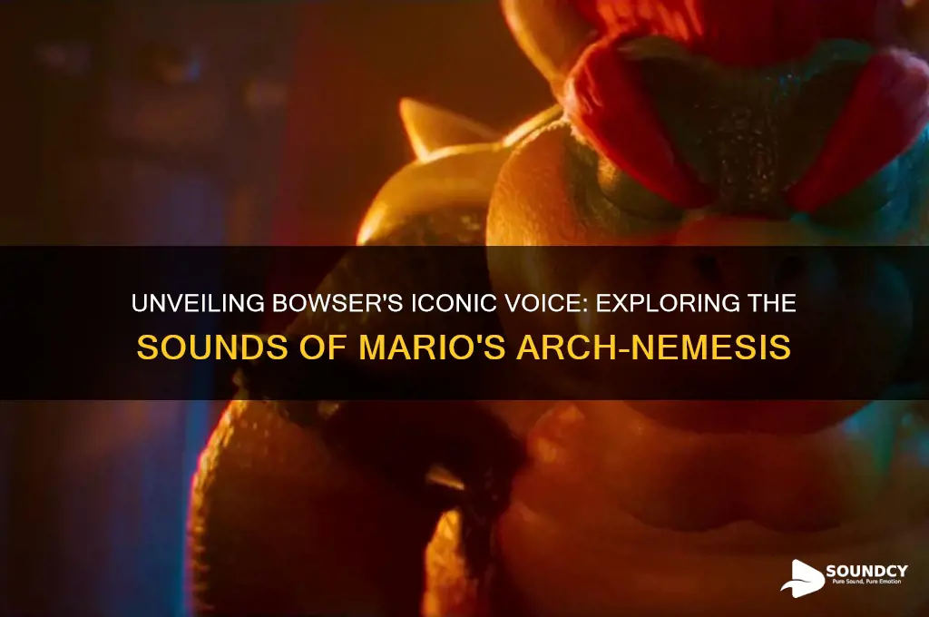 what does bowser sound like