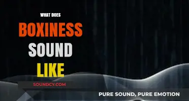 Unveiling the Acoustic Mystery: What Does Boxiness Sound Like?