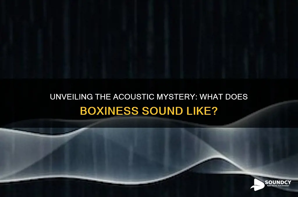 what does boxiness sound like