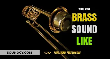 Exploring the Rich, Warm, and Vibrant Sound of Brass Instruments
