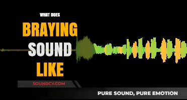 Understanding the Unique Braying Sound: What Does It Really Sound Like?