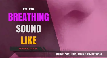 Exploring the Unique Sounds of Human Breathing: What Does It Sound Like?