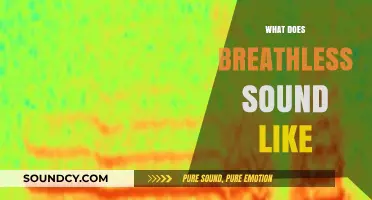Breathless: Decoding the Audible Signs of Labored Breathing