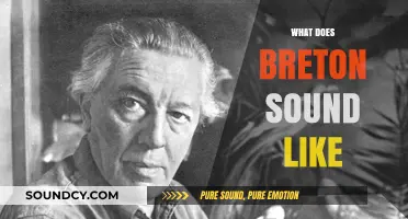 Exploring the Unique Melody and Pronunciation of the Breton Language
