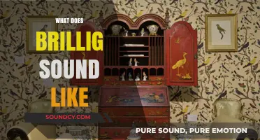 Decoding Brillig's Sonic Mystery: Unraveling Its Unique Auditory Essence