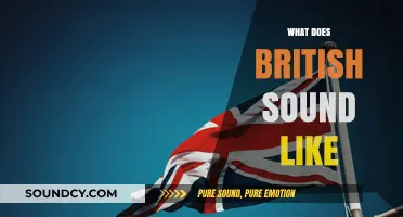Exploring the Unique Accents and Tones of British English Speech