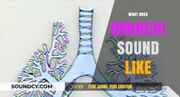 Understanding Bronchial Sounds: What Does Bronchi Noise Actually Sound Like?