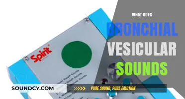 Understanding Bronchial Vesicular Sounds: Causes, Characteristics, and Clinical Significance