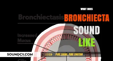 Understanding Bronchiectasis: Identifying the Distinct Sounds of Lung Abnormalities