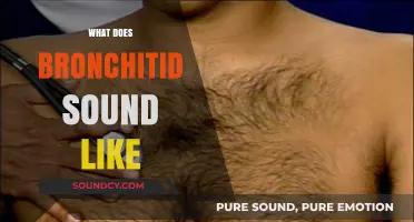 Understanding Bronchitis: Identifying the Distinct Sounds of a Troubled Chest