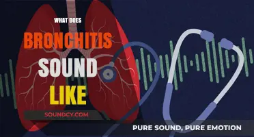 Uncovering Bronchitis: Identifying the Distinct Sounds of This Respiratory Condition