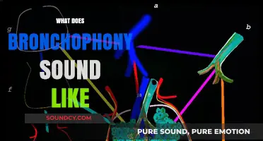 Understanding Bronchophony: What Does It Sound Like and Why It Matters