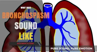 Understanding Bronchospasm: Identifying the Distinct Sounds of Airway Constriction