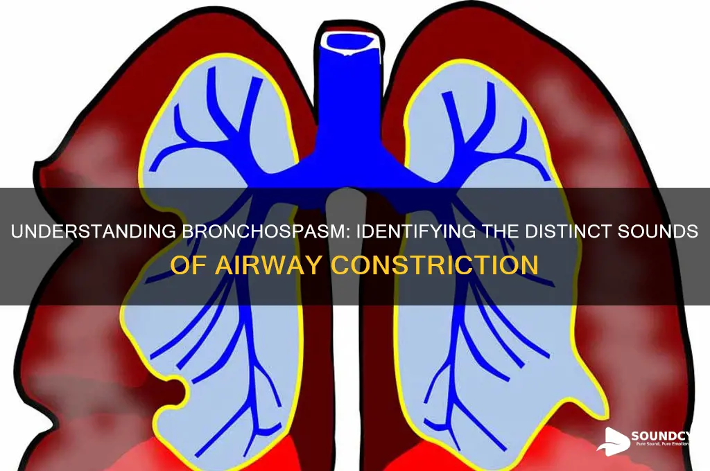 what does bronchospasm sound like