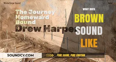 Exploring Brown's Sonic Palette: Unveiling the Auditory Essence of Earthy Tones