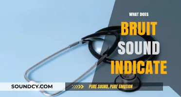 Understanding Bruit Sounds: What They Indicate and Why They Matter