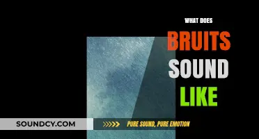 Understanding Bruits: What These Vascular Sounds Actually Sound Like
