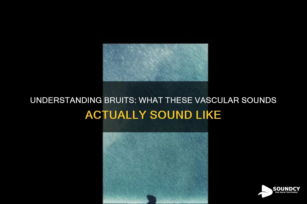 what does bruits sound like