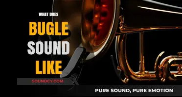 Exploring the Unique, Haunting Sound of a Bugle's Call