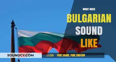 Exploring the Unique Melody and Rhythm of Bulgarian Language Sounds