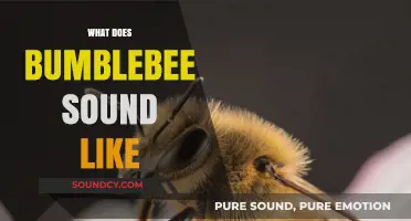 The Buzzing Mystery: Unveiling the Unique Sound of Bumblebees