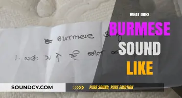 Exploring the Unique Melody and Rhythm of the Burmese Language