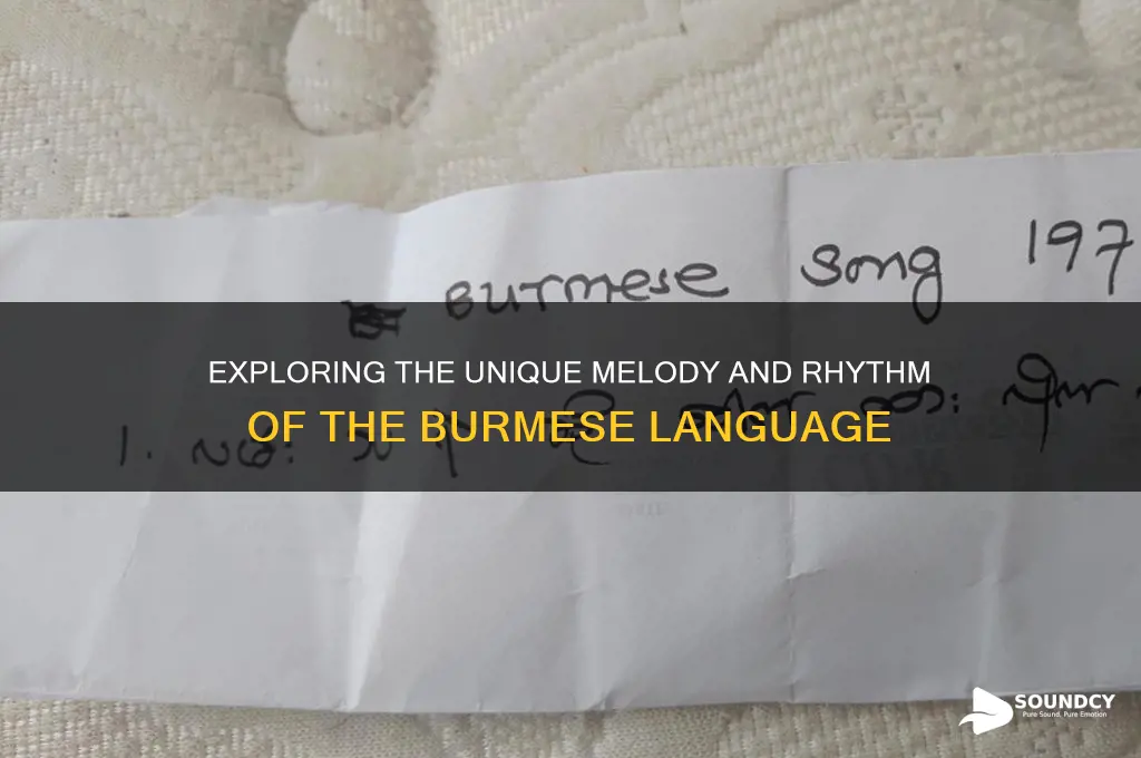 what does burmese sound like